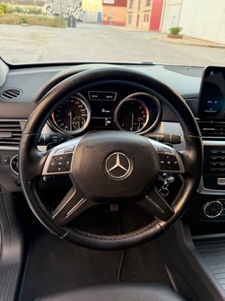 Mercedes-Benz Clase Ml 250