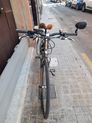 Bicicleta Eléctrica Urbana Trek