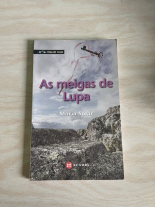 Lote libros juveniles en galego