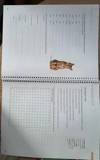 Cuaderno ProDigi. Lengua castellana y Literatur...
