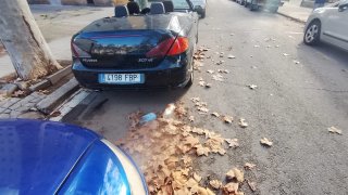 Peugeot 307 2007