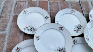 10 Piatti Thun Boheme Vintage 20 cm