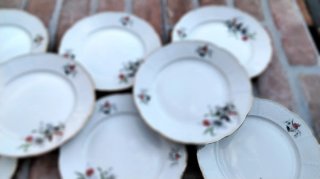 10 Piatti Thun Boheme Vintage 20 cm