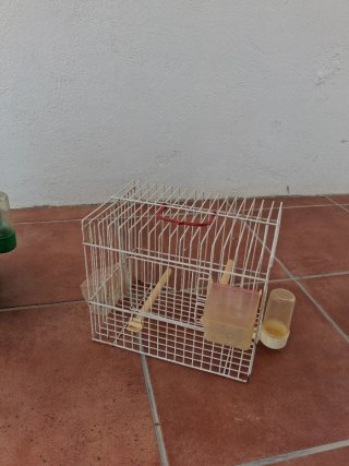 Gabbie per animali domestici