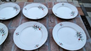 6 piatti Thun originale  porcellana Boheme 23 cm