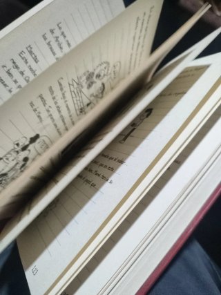 Lote de 2 libros Diario de Greg