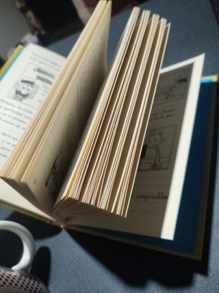 Lote de 2 libros Diario de Greg