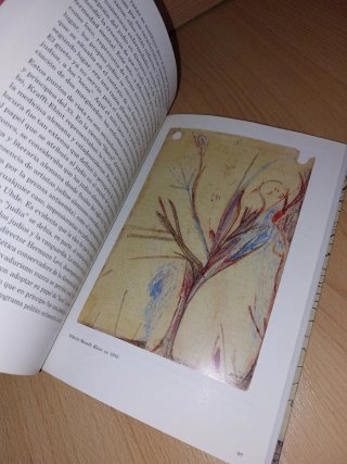 LIBRO - La colección Prinzhorn - PSIQUIATRÍA