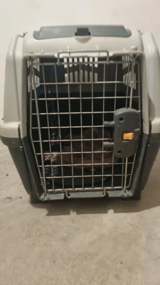 Transportín Perro Cabina Avión SKUDO