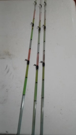 2 Cañas de pesca PARGO 4.0