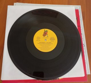 Vinilo Los Buenos + Simun