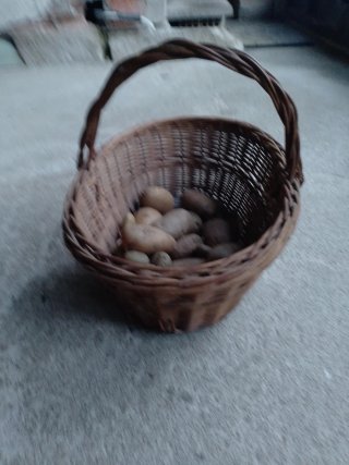 Cesto de mimbre artesanal