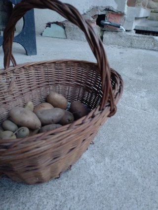 Cesto de mimbre artesanal