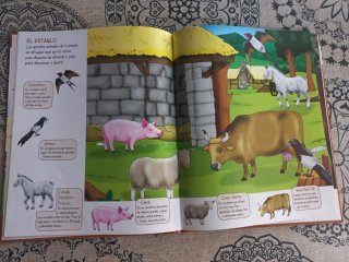 Lote 4 libros infantiles