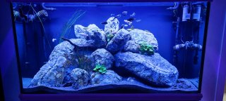 Rocas falsas para acuario