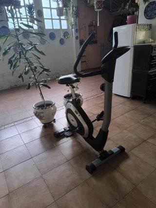 Bicicleta Estática BH Artic