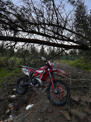 Gasgas EC 300 2014