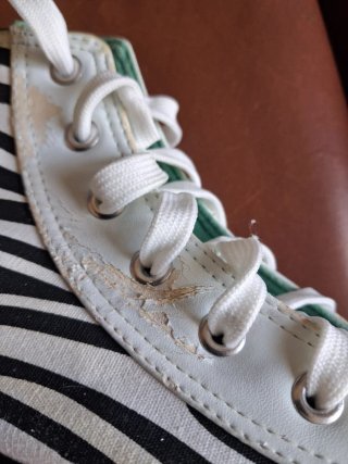 Scarpe alte zebrate