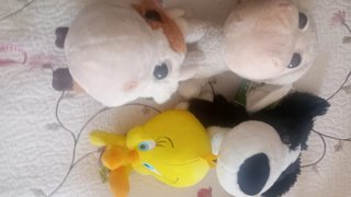 Lote de peluches: Piolín, perro y ovejas