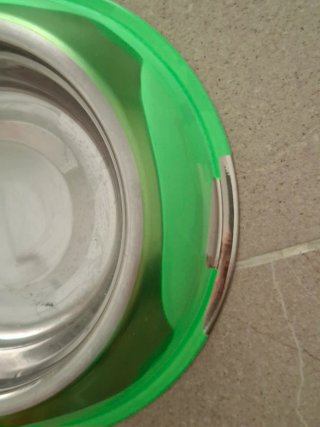 Ciotola acciaio inox verde per cani/gatti