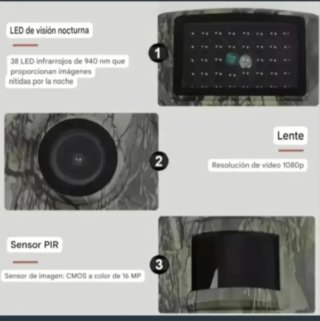 2 Cámaras Caza Fototrampeo