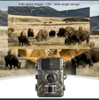 2 Cámaras Caza Fototrampeo