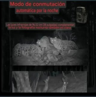 2 Cámaras Caza Fototrampeo
