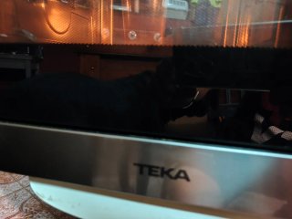 Microondas TEKA MWE 255 FI