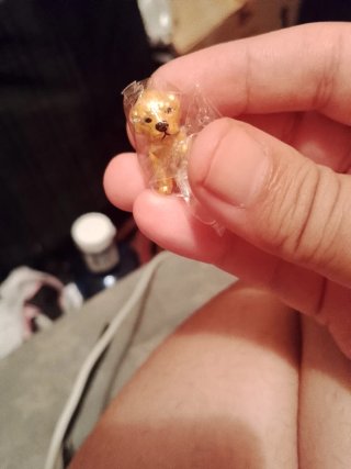 Perro Labrador Dorado Miniatura