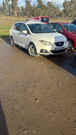 SEAT Ibiza 2010