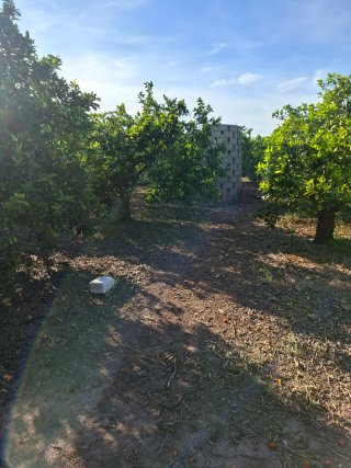 Campo en alquiler 30 euros mes