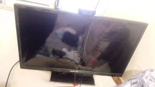 Xbox One S Bianca + 2 Giochi + Controller