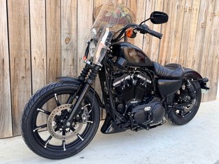 Harley Davidson XL883 Iron