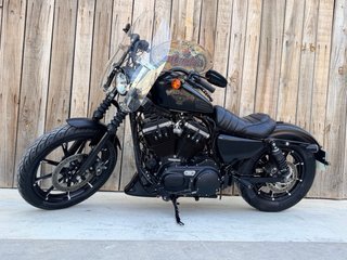 Harley Davidson XL883 Iron