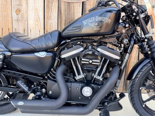 Harley Davidson XL883 Iron