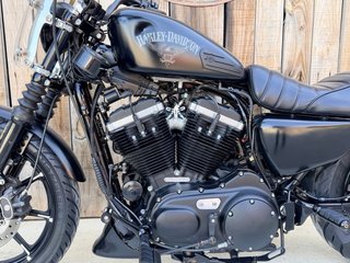 Harley Davidson XL883 Iron