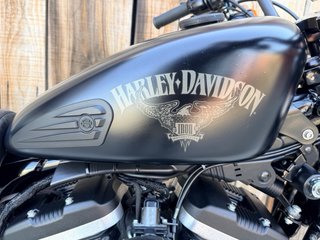 Harley Davidson XL883 Iron
