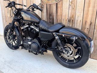 Harley Davidson XL883 Iron