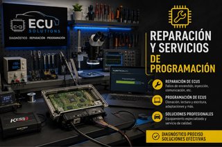Servicios Ecu Multimarca