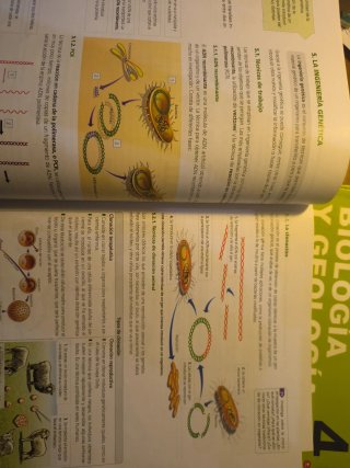 Inicia Biología y Geología 4.º ESO. Libro del a...