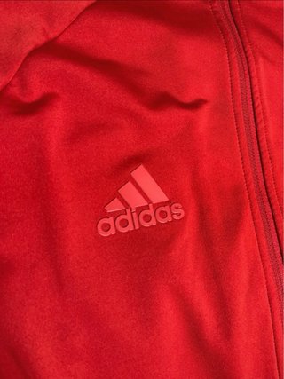 Chaqueta entrenamiento Bayern Fc