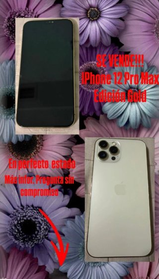 iPhone 12 Pro Max Edición Gold