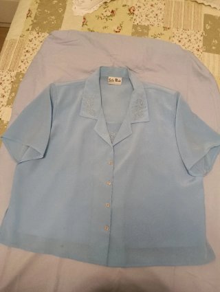 Blusa azul con bordado