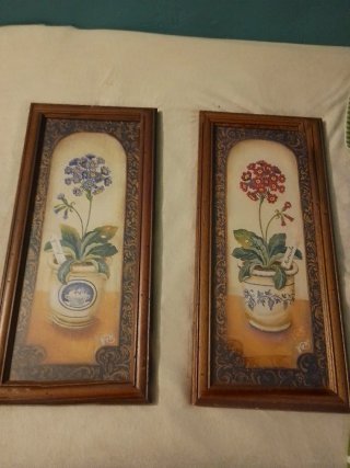 2 Cuadros Flores Aurículas Azul y Rojo