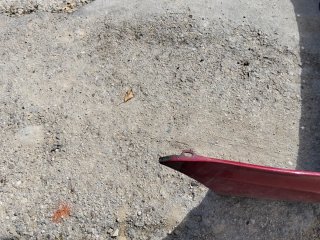 Paragolpes coche delantero y trasero honda Civic