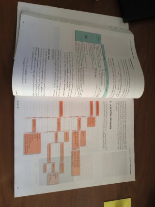 Lengua castellana y literatura 1, Le Bachillerato