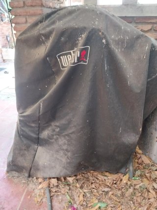 Barbacoa Weber de Gas Negra con funda