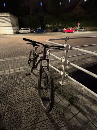 Bicicleta de Montaña