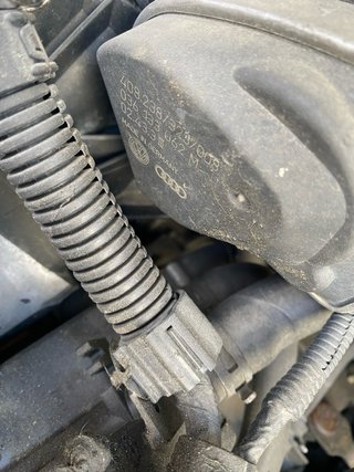 Despiece Seat Toledo 1.6 Gasolina