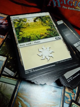 Lote MTG Magic 100 Terre Base